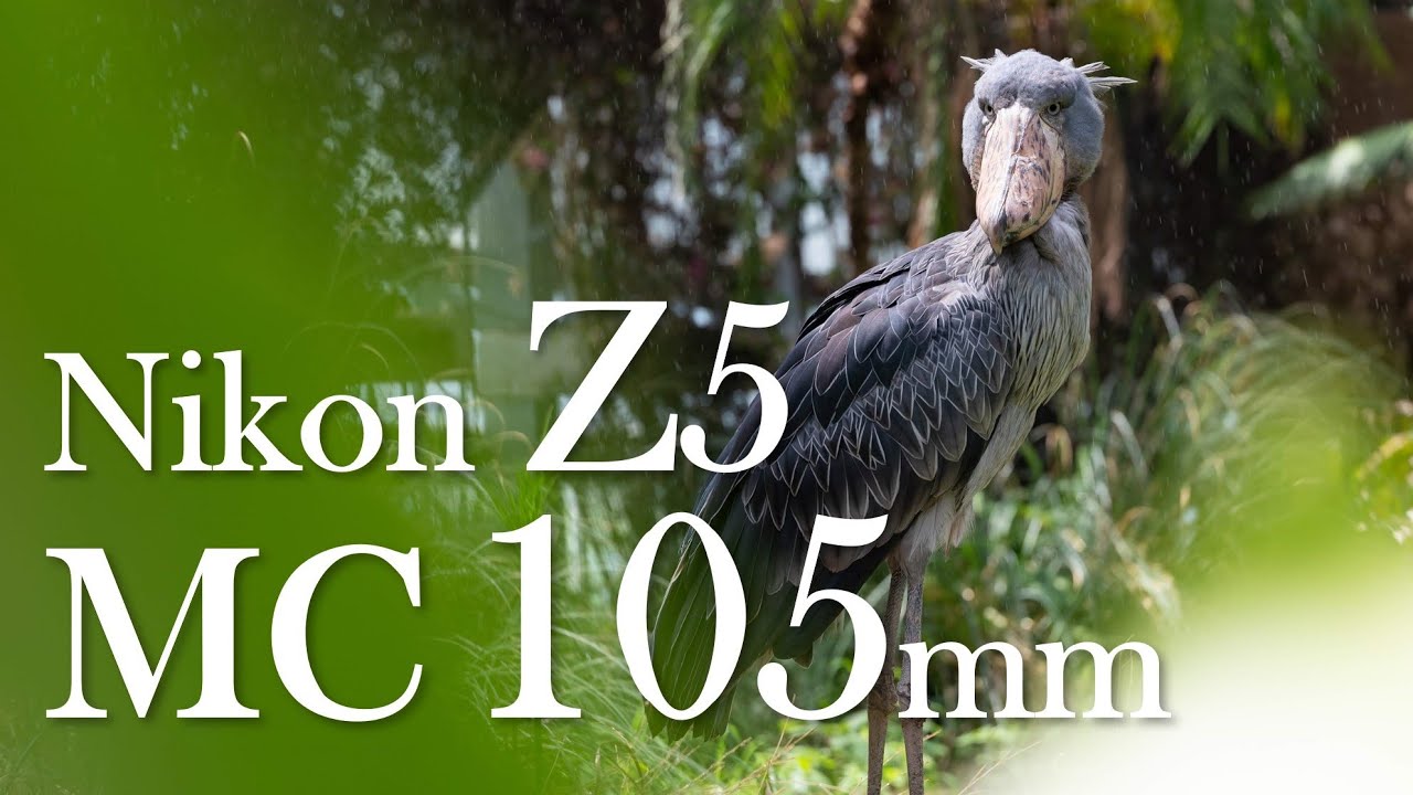 作例付き　Konica 105mmF4 マクロ　ベローズセット　管mpr Nikon Z5 + MC105mmf2.8 VR S 動物作例~マクロから中望遠まで圧倒的