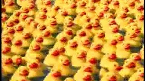 Rubber Ducky Video