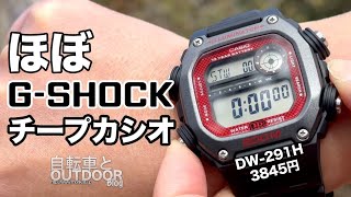 ほぼGショックのチープカシオ『DW-291H』大型で10年バッテリー【チプカシ】【3845円】