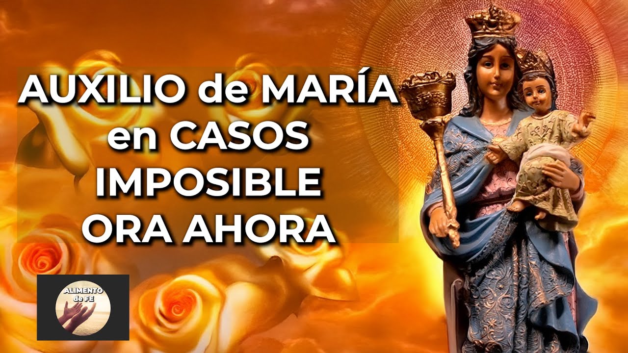 Oraciones a la Virgen María Auxiliadora para Causas y Momentos Difíciles | Bajo el Manto de María