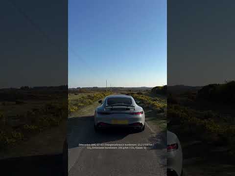 Hooves or horsepower? | #shorts