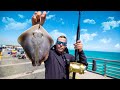 LIVE Stingray Catches Goliath Groupers!! *JETTY GIANTS*