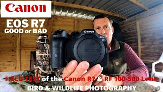 Canon R7 First Impressions in the FIELD for WILDLIFE Photography, Canon RF 100500 | Good or Bad?