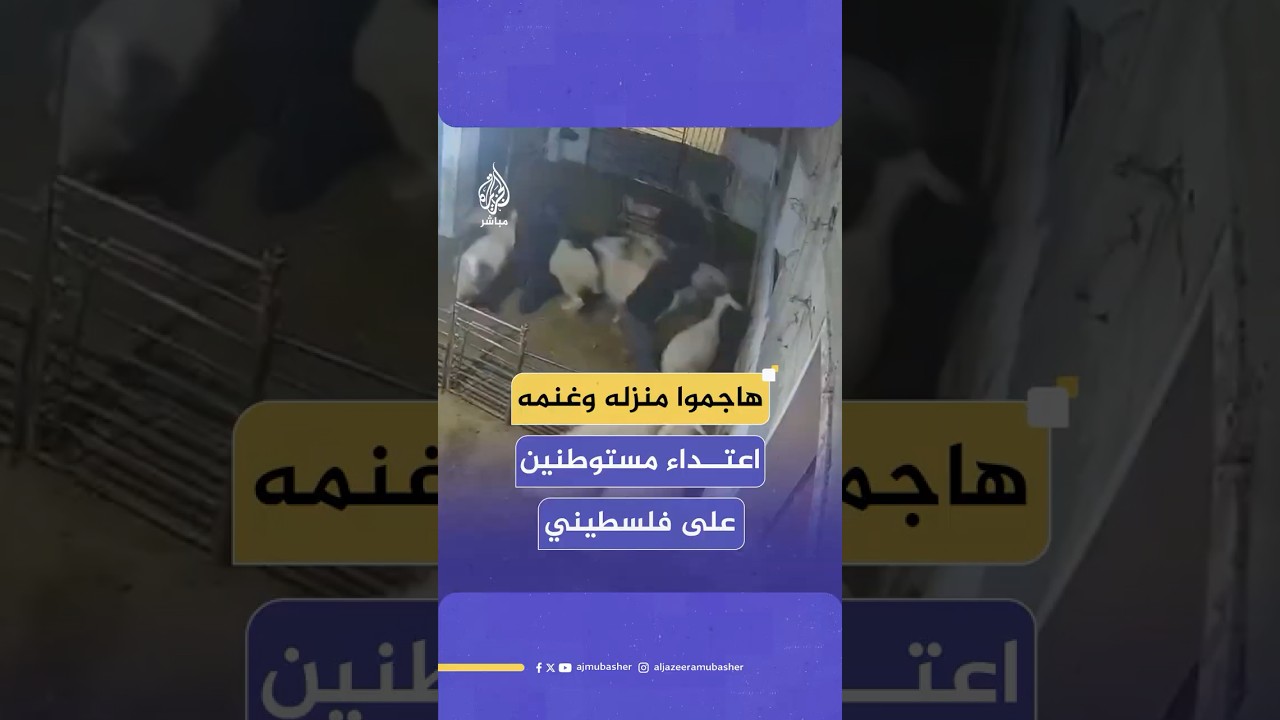 لحظة هجوم مستوطنين على منزل أحد الفلسطينيين في منطقة واد أجحيش جنوبي الخليل بالضفة الغربية