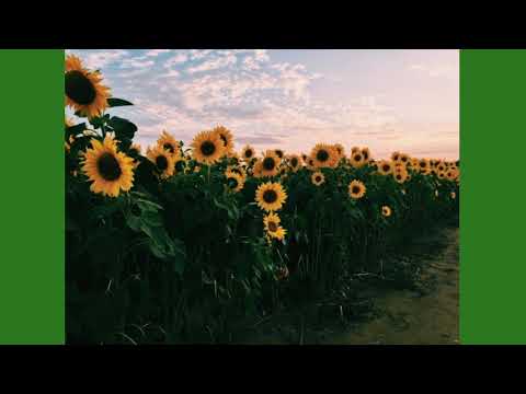 Ends Of The Earth Lord Huron S L O W E D