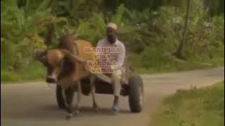 WANIPIGA KWA BAKORA YANGU - PEMBA TAARAB
