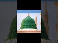 Allah hu#love #trending #yt #Aisha Parveen -w6s #shorts #shorts