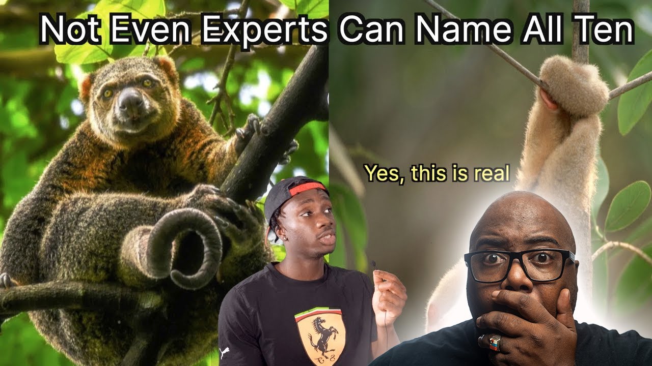 You've Never Seen Animals Like This Before CASUAL GEOGRAPHIC You've Never Seen Animals Like This Before CASUAL GEOGRAPHIC