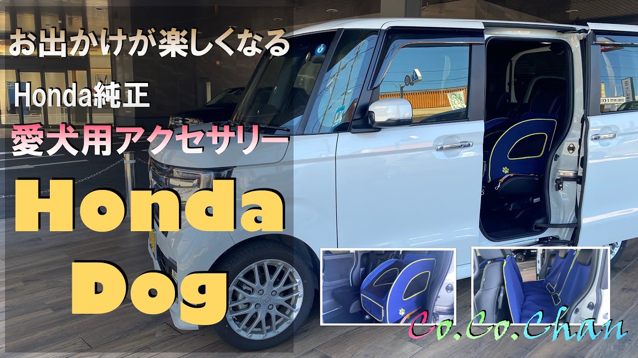 Honda Dog】一緒に愛犬とお出かけしよう！長時間ドライブも旅行もこれ