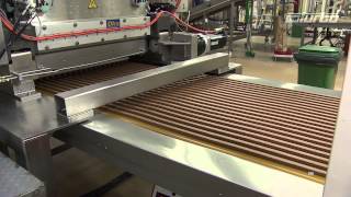 Wizyta w programie „Polak potrafi" screenshot 3