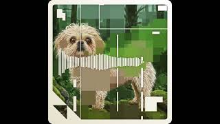 Gustavius - Hazel Stinky Full