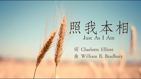 「讚美詩」——《照我本相》（Just As I Am -- Chinese version） - 天天要聞