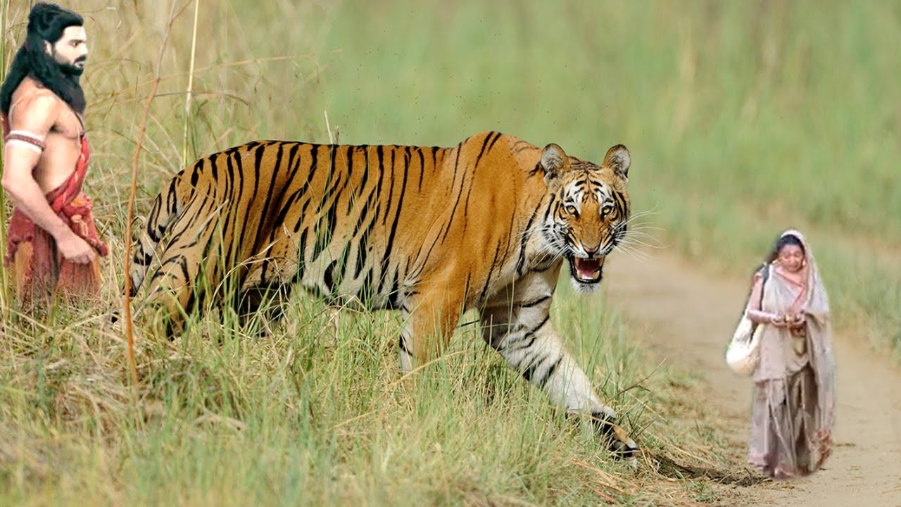 परशुराम सबरी को भूखे शेर से कैसे बचायेगा 