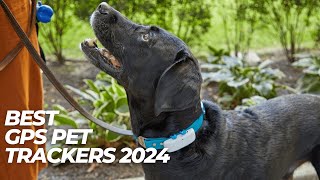 Best GPS Pet Trackers 2024  How to Choose a Tracker to Keep an Eye on your Pet?