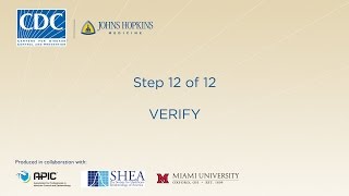 Verify (Step 12/12)
