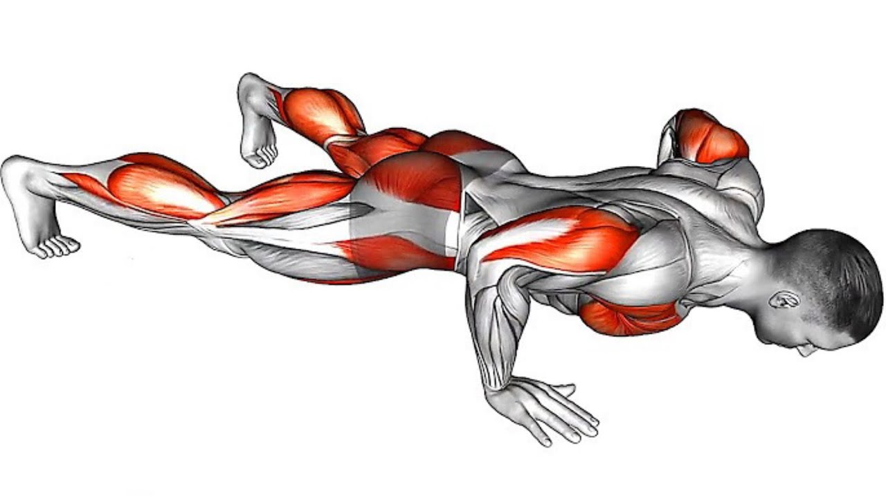 30 Minute Morning Exercise Routine - Do This Every Day - YouTube