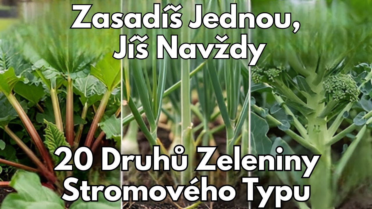 Těchto 20 Druhů Zeleniny Roste Jako Ovocné Stromy! Zasadíš Jednou, Jíš Navždy