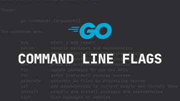 Go Command Line Flags #golang