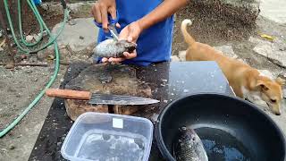 Drying fish process simplest way