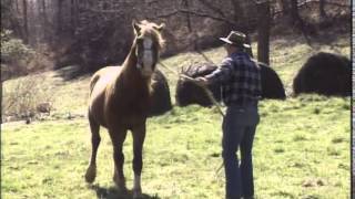 KET Kentucky Life 201