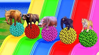 Paints & Animals Long Slide Game With Elephant Gorilla Buffalo Hippopotamus Tiger Funny 3d Animals