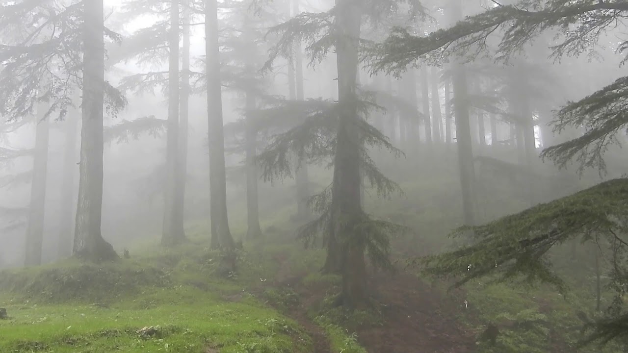 Lakkar Mandi & Kalatop Forest Wildlife Sanctuary, Chamba || Himachal Pradesh, India