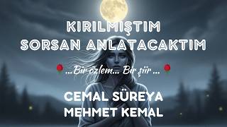 Cemal Süreya Çok Güzel Söylemiş - Kırılmıştım Sorsan Anlatacaktım...