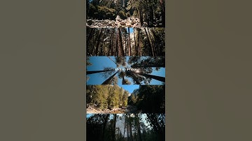 #shotoniphone with Beastgrip gear ‼️🎥 #beastgrip #iphonefilmmaking #cameragear #cinematic