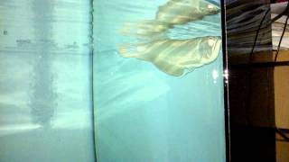 WP 20140623 003