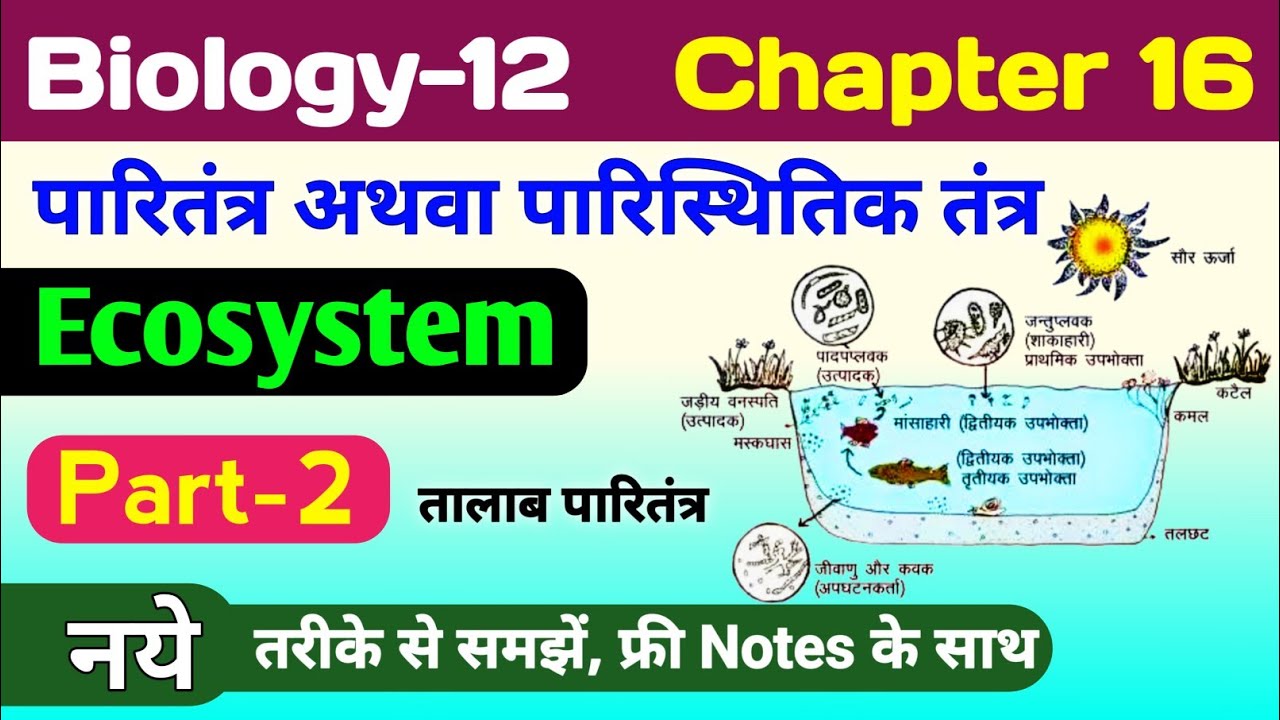 Biology class 12 chapter 16 | ecosystem in hindi | paritantra class 12th biology | तालाब पारितंत्र