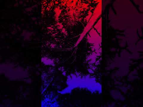 slowdown 07 2