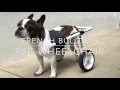 DIY French Bulldog PVC Dog Wheelchair