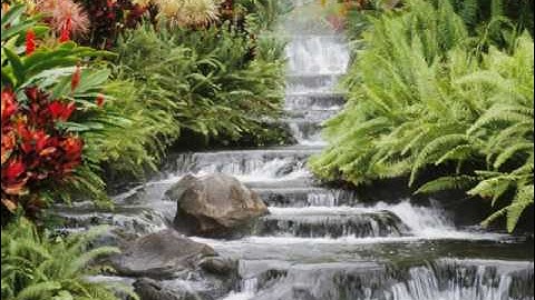 Wizard101 codes and to get lots of gold FAST!