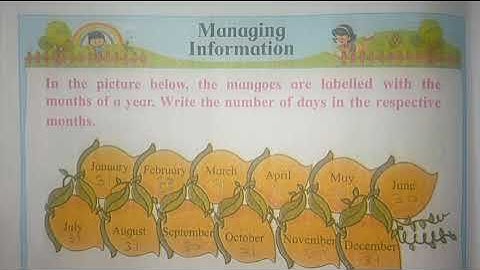 Class 2 Maths Managing information | Digital school