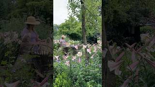 Yes You should plant a cut flower garden