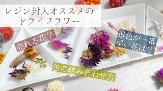 【resin】レジン封入