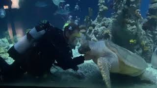 TLC @thedeephull