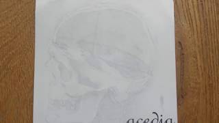 Acedia - The Swarms Will Come to Slaughter the Hogs