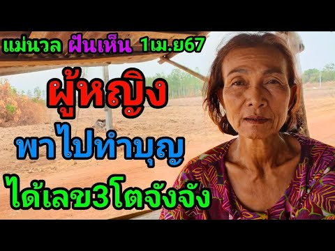 #แม่นวล#ฝันว่าผู้หญิงพาไปทำบุญบ้านได้เลข3โตคักคัก1เม.ย67