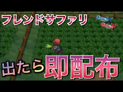 出たら即配布 フレンドサファリで色厳選 ポケモンｘｙ Youtube