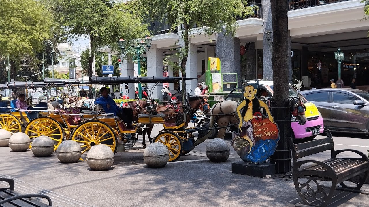 LIHAT DELMAN DIMALIOBORO SAMA MAMA DAN PAPA💙🐴