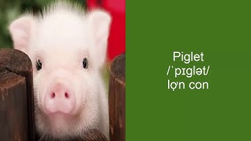 Từ vựng tiếng Anh về Các con vật khi còn nhỏ