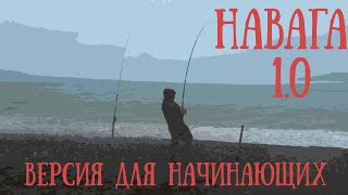 Навага. Охотское море. С разъяснениями.