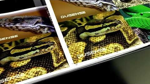 Duplo Du-Sense - DDC-810