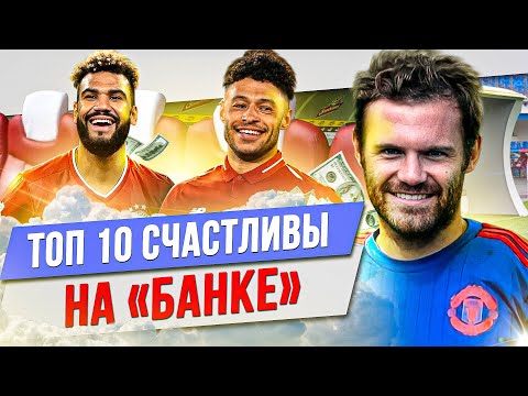 Видео: Топ 10 породи кучета, които обичат студеното време