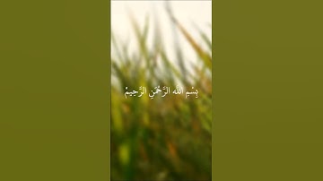 سورة قريش ، بصوت القارئ : ماهر المعيقلي