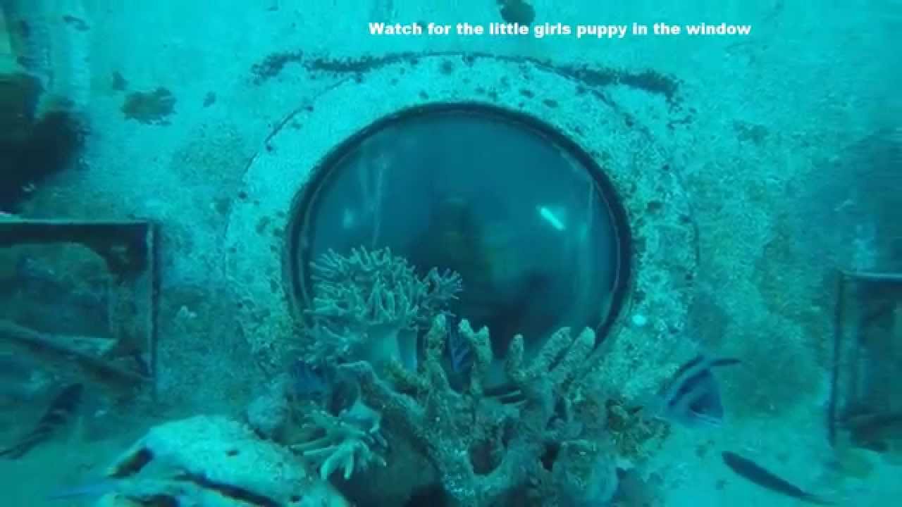 fisheye scuba fisheye scuba