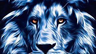 epic wallpaper of lion and tiger #shorts
