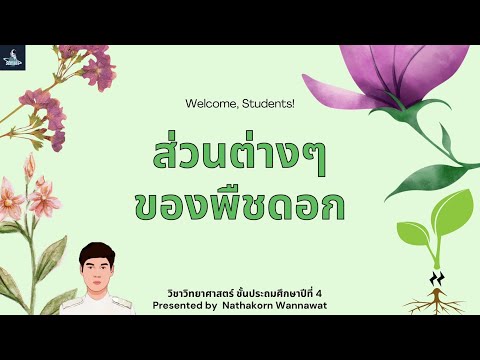 วิทยาศาสตร์ by NTK : ส่วนต่างๆ ของพืชดอก ป.4