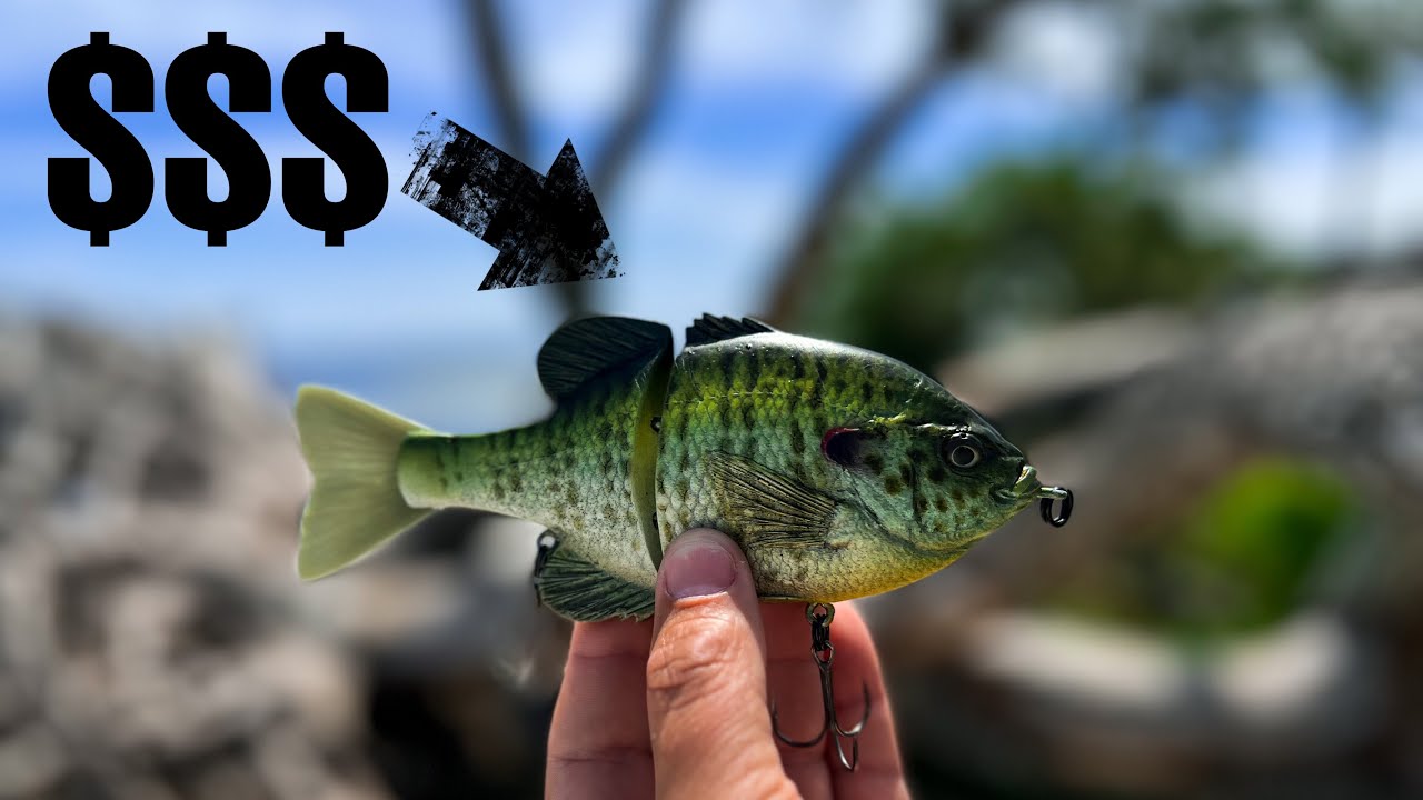 Why This Lure is WORTH $150 —Fishing with BIG Baits!